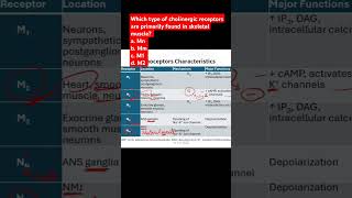 Which type of cholinergic receptors are primarily found in skeletal muscle [upl. by Templeton74]