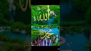 Chemmy star beautifulsong ytshorts 🕋🌟🤲🌟🕋 [upl. by Brogle853]