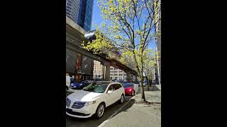 MONORAIL PASSING BY OVER 5TH AVENUE  WESTLAKE TO SEATTLE CENTER MONORAIL  STEWART AND 5TH [upl. by Ettenom]