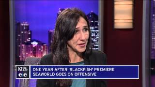 One Year After Blackfish SeaWorld Goes On Offensive [upl. by Parlin55]