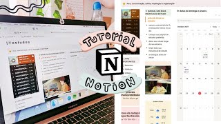 💻📔 tutorial no Notion  como organizar seus estudos  template para usar ⭐️ [upl. by Yuu]