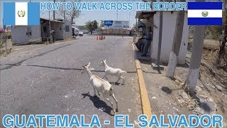 How to walk across the border from Guatemala to El Salvador  La Hachadura Guatemala 🇸🇻🇬🇹 [upl. by Trocki]