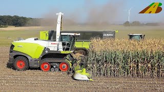 Mais häckseln 2020  Neuvorstellung Claas Jaguar 990 Terra Trac amp Orbis 900  Axion 960 TT Maisernte [upl. by Adnyleb]