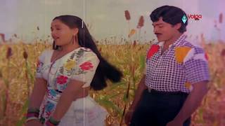 Kondaveeti Raja Movie Songs  Naa Koka Bagunda  Chiranjeevi Radha VijayaShanthi [upl. by Dirrej]