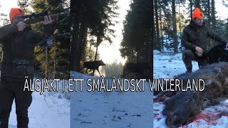 Älgjakt i Ett Småländskt Vinterland [upl. by Eiuol]