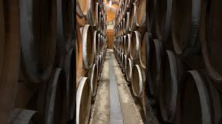 Barriques de cognac [upl. by Fasta]