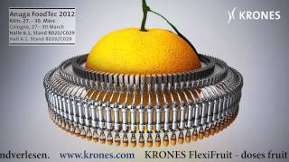 Krones FlexiFruit [upl. by Airekat]