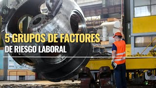 5 GRUPOS DE FACTORES DE RIESGO LABORAL [upl. by Leese]