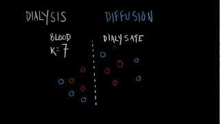 Dialysis Basics [upl. by Danais]