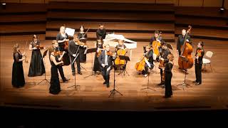 quotDie vier Jahreszeitenquot CONCERTINO CHAMBER ORCHESTRA [upl. by Atiseret]