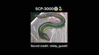 SCP3000 quotAnantasheshaquot short notreal eel [upl. by Mcgurn]