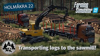 LOG LOADING AND UNLOADING USING THE VOLVOS  FS22  Forestry  Holmåkra 22  Timelapse  E07 [upl. by Askwith]