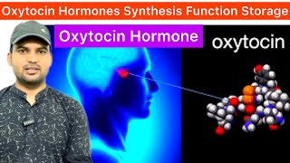 Poster Pituitary  Oxytocin Synthesis Storage Function in Hindi  Function of Oxytocin  Oxytocin [upl. by Baoj]