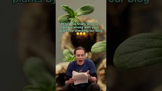 POV You Discover Whats Wrong With Your Plants Meme RQS [upl. by Camella254]