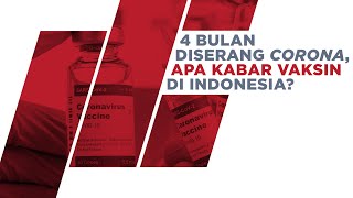 4 Bulan Diserang Corona Apa Kabar Vaksin Covid19 di Indonesia [upl. by Nevak238]