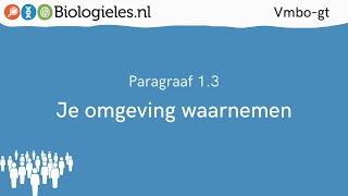 Vmbogt 3  De mens  3 Je omgeving waarnemen  Biologielesnl [upl. by Sophie577]