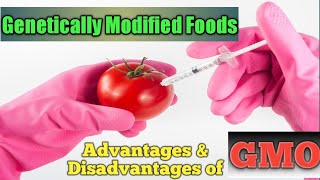 Advantage disadvantage of genetically modified food in 2021  Genetically modified food good or bad [upl. by Leamhsi]