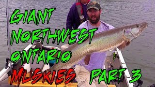 Giant Northwest Ontario Muskies Part 3 [upl. by Asiat]