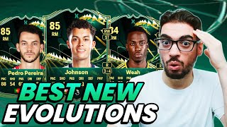 BEST META CHOICES FOR The Cannon EVOLUTION FC 25 Ultimate Team [upl. by Anyk]