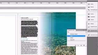 Interaktiv PDF Video einfügen InDesign CS 5 Tutorial Deutsch [upl. by Alyce]