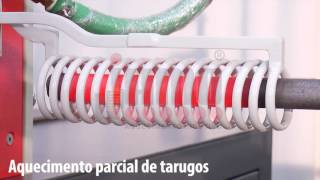 Aquecedor indutivo 200kW para forjamento parcial [upl. by Ardelle]