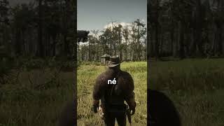 CUIDADO AO VER OS PERIQUITOS DA CAROLINA  Red Dead Redemption 2 Shorts [upl. by Canale]