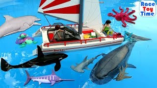 Playmobil Summer Fun Catamaran Playset plus Sea Animals Toys [upl. by Nylekoorb]