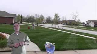 How Much Fertilizer Do I Put On The Lawn [upl. by Adnylg]