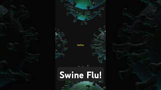 Swine Flu Symptoms Treatment and Prevention [upl. by Innus]