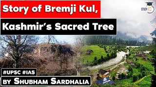 The story of Bremji Kul Kashmirs sacred tree  Kashmir’s Ancient Tree  Know all about it  JKPSC [upl. by Lledyr]