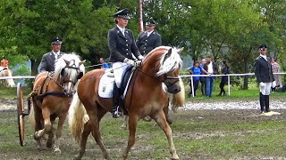 Haflinger und Pferdekutschen in Meura [upl. by Stratton339]