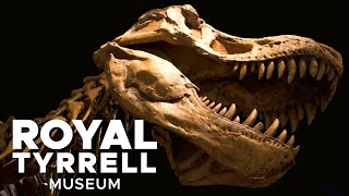 Journey Through the Age of Dinosaurs  WorldRenowned Royal Tyrrell Museum of Paleontology【4K】 [upl. by Doss]