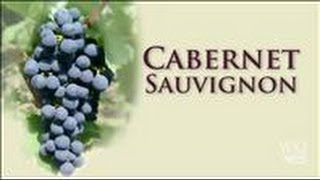 Cabernet Sauvignon A Prestigious Grape to Grow [upl. by Nide]