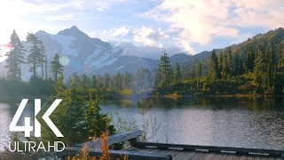 8 Hours of Birds Singing on the Lakeshore and Water Sounds  Relaxing Nature Sounds  Mount Shuksan [upl. by Enale552]