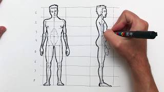 Como dibujar la figura humana paso a paso El cuerpo del hombre y sus proporciones [upl. by Mallina102]