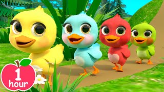 5 Little Rainbow Ducklings  Newborn Baby Songs amp Nursery Rhymes [upl. by Yelraf]