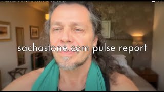 PULSE REPORT by SACHA STONE  JUNE 2024 [upl. by Aralomo378]