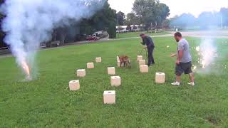 Narcotics Detection Training with Fireworks Distractions [upl. by Somerset]