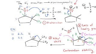 E1 Reaction with Rearrangement [upl. by Caldwell]