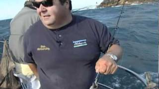 Dan Hernandez Wide Open Rock Fish Bite [upl. by Jemine718]