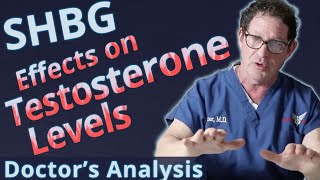 SHBG  Sex Hormone Binding Globulin Effects on Testosterone Levels  Doctors Analysis [upl. by Agiaf463]