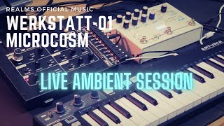 Microcosm  Werkstatt01 Live Ambient Jam Session Relaxing Ambient [upl. by Nnylyram]