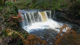 Naden brook waterfallGelder cloughLancashire [upl. by Noli390]