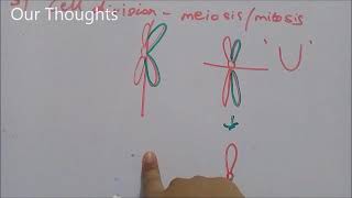 Biology Notes Isochromosome [upl. by Neyud134]