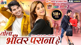 Mor Chhaiya Bhuiya 2  Cg Movie Song  Tola Bhanwar Parana He  Chhattisgarhi Gana Deepak Elsa AVM [upl. by Joellen]