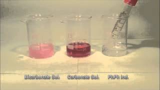 phenolphthalein indicator with carbonate solution and Bicarbonate Solution [upl. by Kruse757]