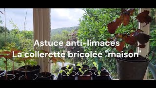 Astuce antilimaces  La collerette bricolée quotmaisonquot [upl. by Carly]