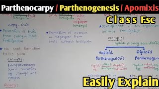 Parthenocarpy  Apomixis  Parthenogenesis  Seed Dormancy  Class 12 Biology [upl. by Becky]