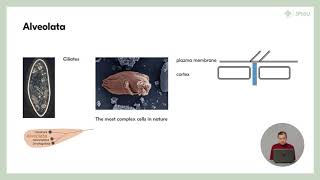 63 Phylogenetic tree of eukaryotes  Protists Evolution and Ecology of Microbial Eukaryotes [upl. by Lovato191]