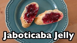 Tasty Tropical Treats Jaboticaba aka Brazilian Tree Grape Jelly [upl. by Sparhawk]